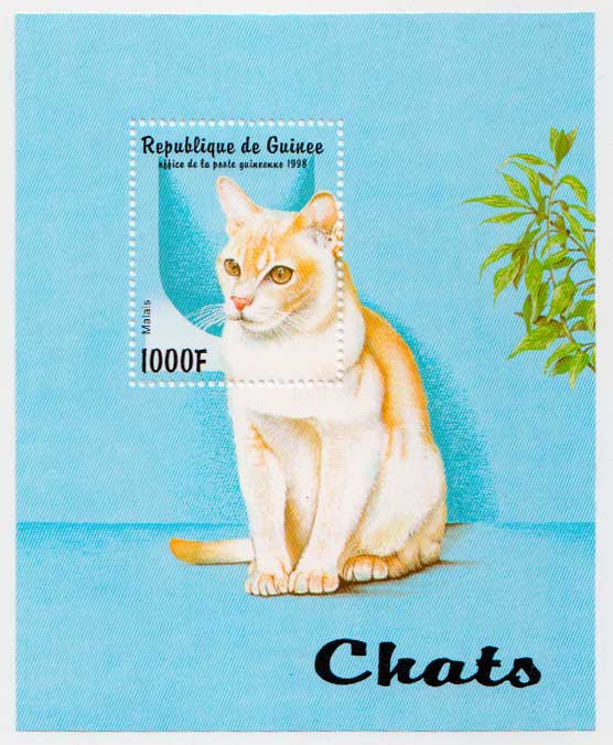  Кошки почтовый блок в продаже